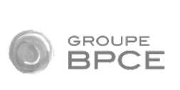 Logo-BPCE-300x150 gris